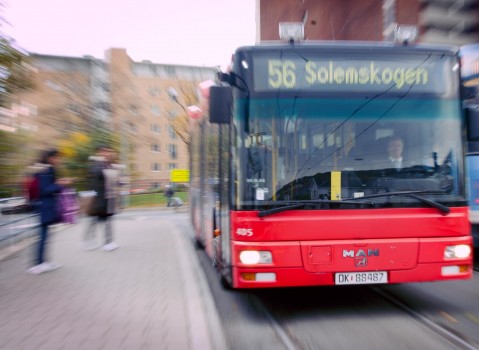 Buss 479X350