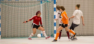 Futsal00420170319 (1)